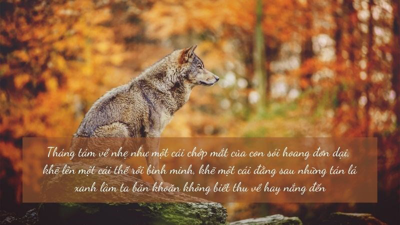 Hình ảnh chào tháng 8 yêu thương 7 Hình ảnh chào tháng 8 yêu thương 7