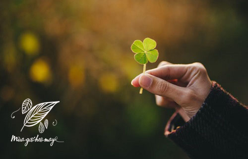 Hình ảnh chào tháng 8 yêu thương 2 Hình ảnh chào tháng 8 yêu thương 2