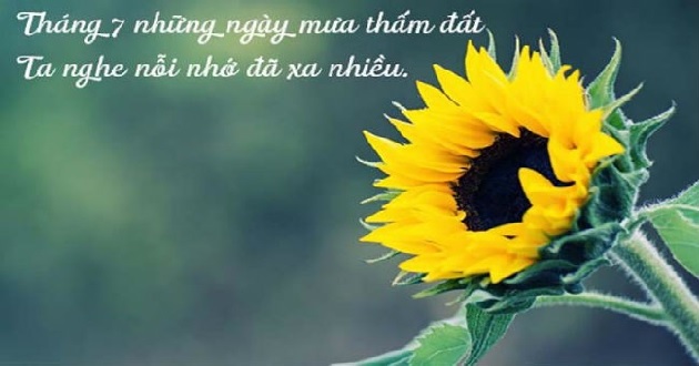 Thơ tình tháng 7 lãng mạn