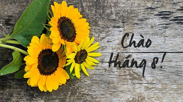 Hình ảnh chào tháng 8 đẹp 3