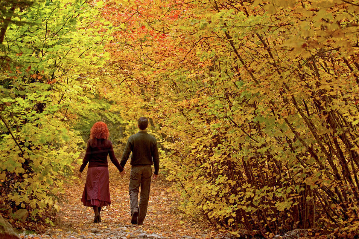 Thơ hay về tháng 8 Thơ hay về tháng 8