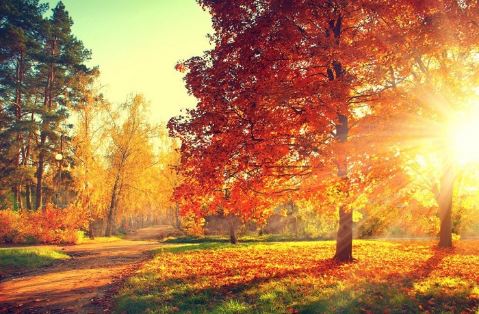 Thơ tháng 8 Thơ tháng 8