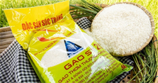 Gạo ST25 bán ở siêu thị nào? Gạo ST25 Vinmart, Coopmart có bán không?