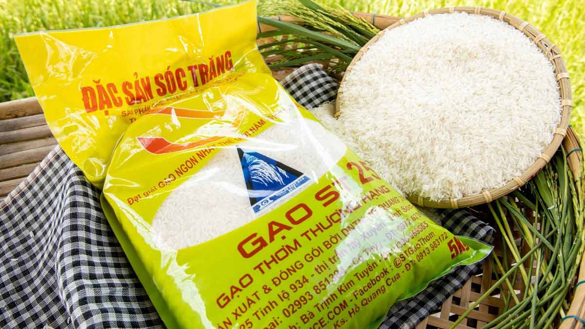 Tìm hiểu giá gạo ST25 Tìm hiểu giá gạo ST25
