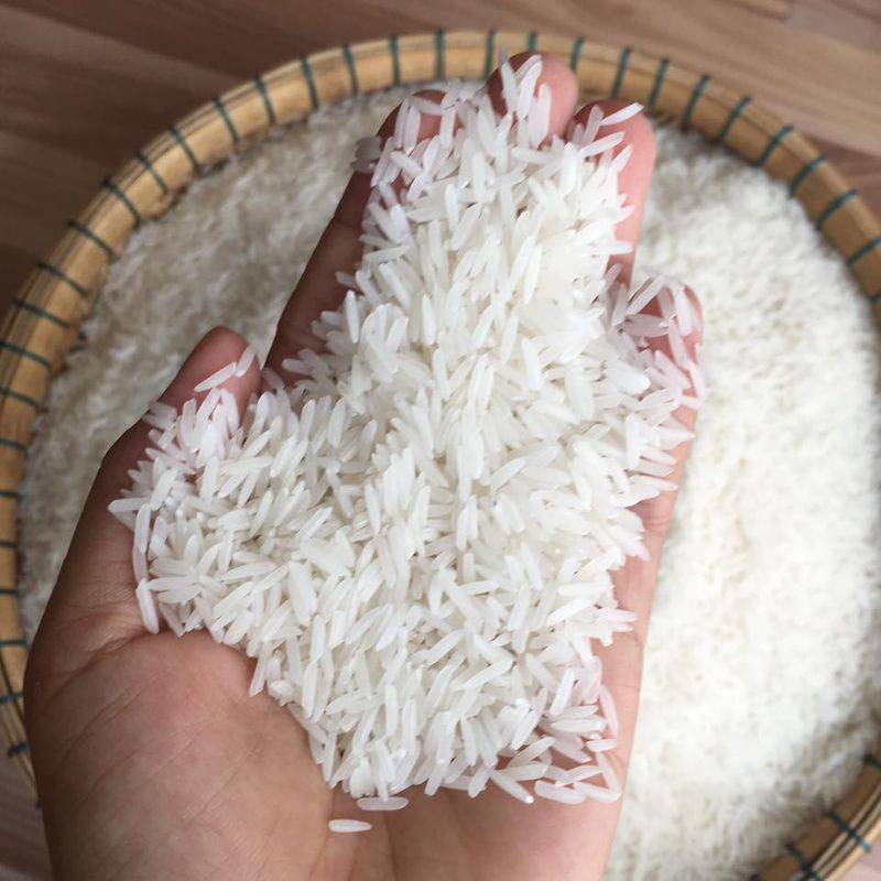 Đặc điểm của gạo ST25 chính hãng Đặc điểm của gạo ST25 chính hãng
