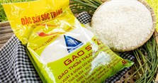 Gạo ST25 bao nhiêu tiền một ký? Giá gạo ST25 chính hãng