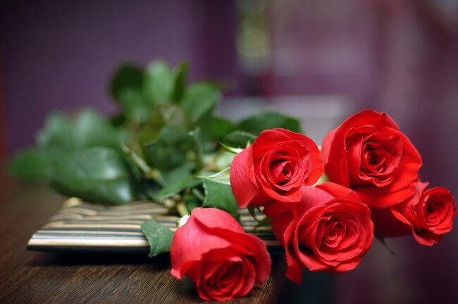 Hình ảnh hoa hồng tặng người yêu