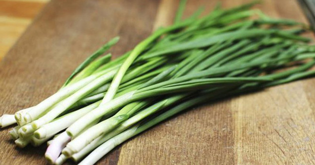 Hướng dẫn cách bảo quản hành lá