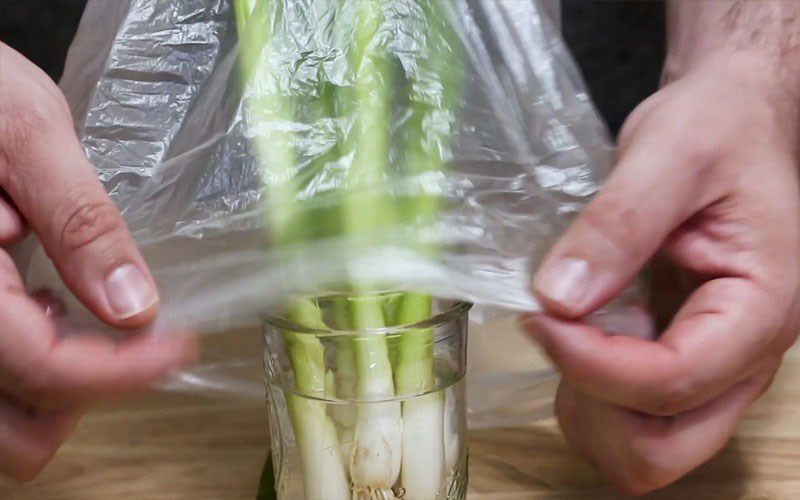 Bảo quản hành lá khi không có tủ lạnh, tủ đông