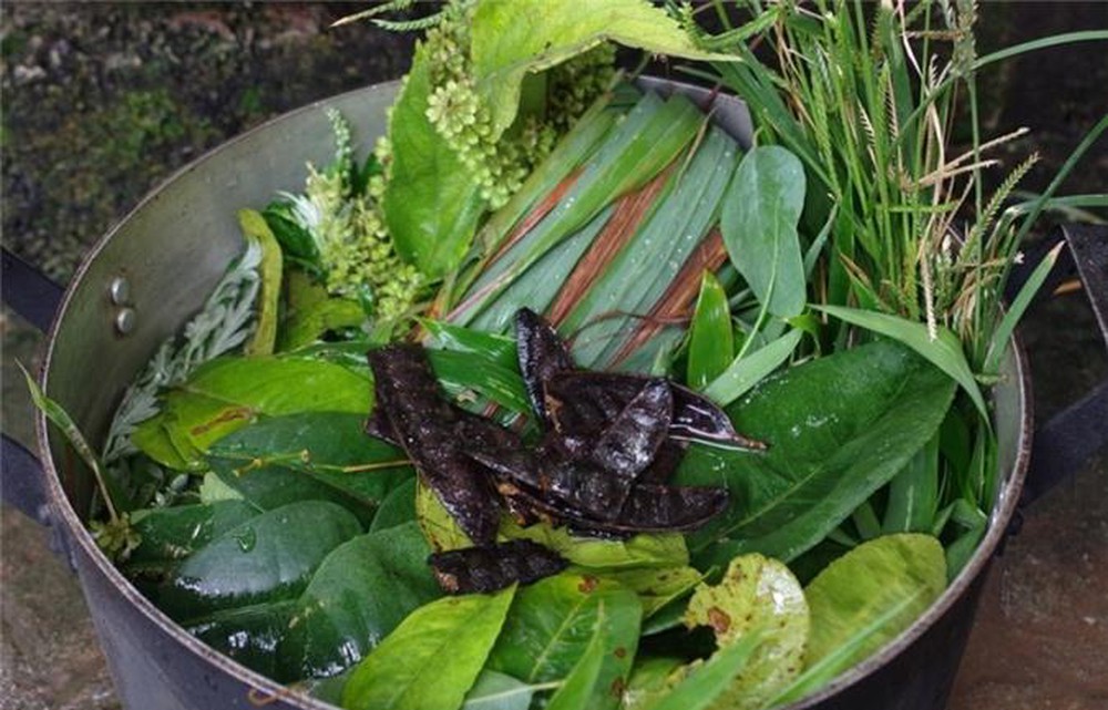 Lưu ý khi xông lá giải cảm Lưu ý khi xông lá giải cảm