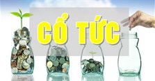 Cổ tức là gì? Chia cổ tức là gì? Các hình thức trả cổ tức