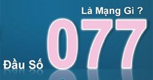 077 là mạng gì? Đầu số điện thoại 077 là của mạng nào?