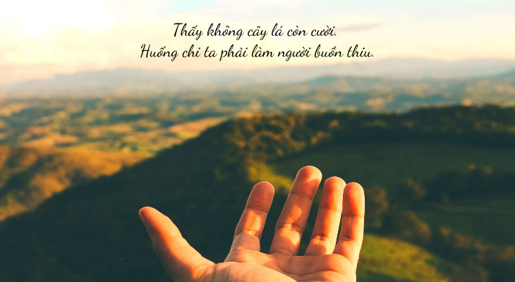 Thơ về cuộc sống an nhiên