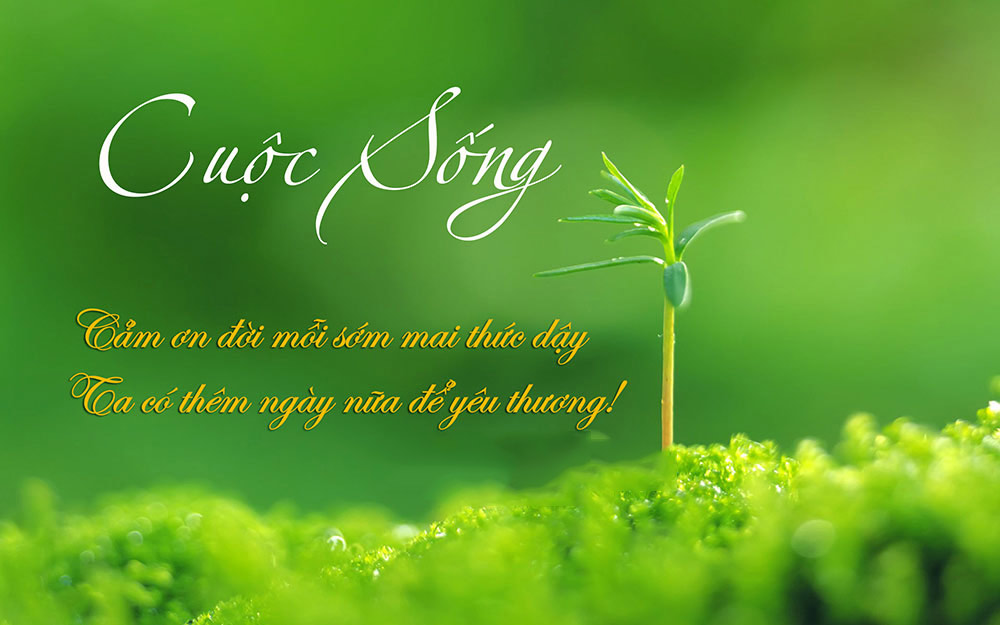 Thơ hay về cuộc sống