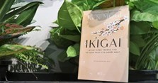 Ikigai là gì? Tìm hiểu về triết lý Ikigai