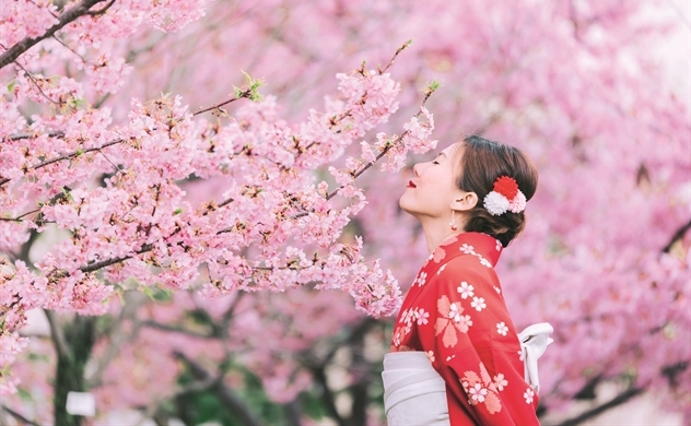 Làm thế nào để tìm ra Ikigai? Làm thế nào để tìm ra Ikigai?