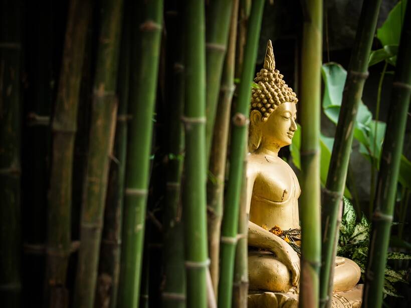 Tham sân si là gì? Tham sân si là gì?