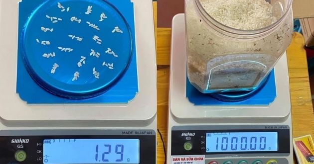 1kg gạo có bao nhiêu hạt?