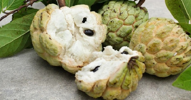 Ăn na có tác dụng gì