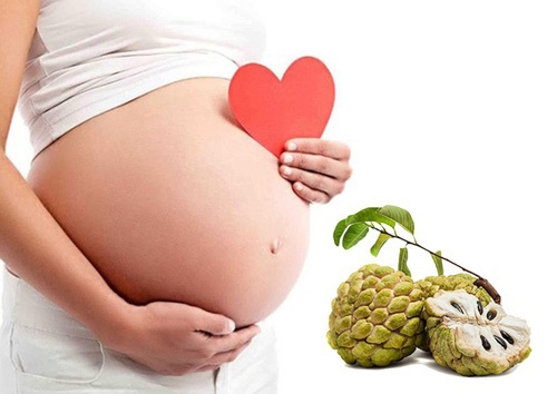 Tìm hiểu bà bầu ăn na có tốt không Tìm hiểu bà bầu ăn na có tốt không