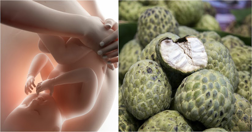 Lợi ích mà quả na mang lại khi mang thai Lợi ích mà quả na mang lại khi mang thai