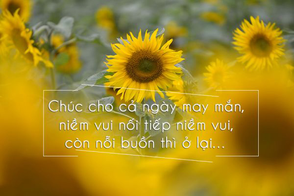 Tus hay chào buổi sáng Tus hay chào buổi sáng