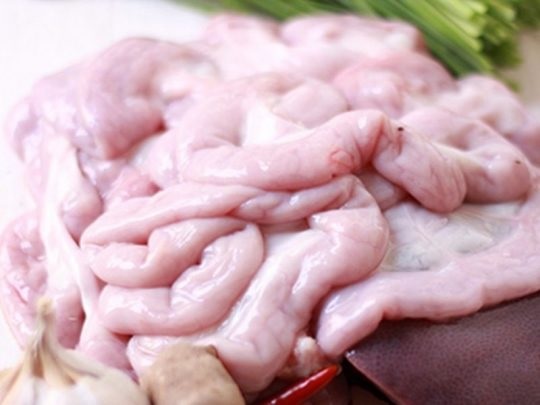 Cách bảo quản lòng lợn sống Cách bảo quản lòng lợn sống