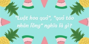 Luật hoa quả là gì? Quả táo nhãn lồng là gì?