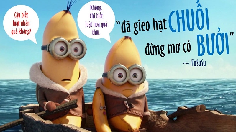 Luật hoa quả là gì?