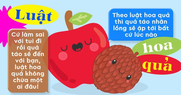 Quả táo nhãn lồng là gì?