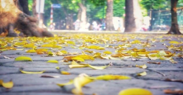 Những bài hát về mùa thu Hà Nội