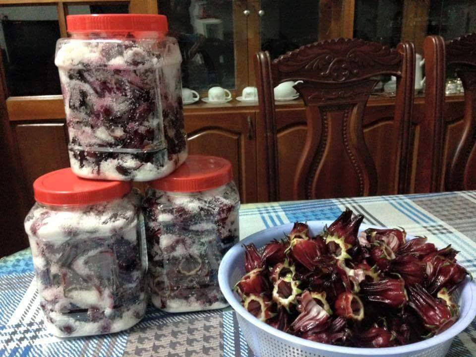 Cách ngâm atiso đỏ với đường cát, đường phèn