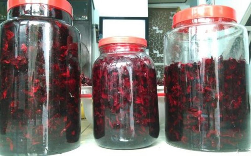 Cách ngâm atiso đỏ với rượu