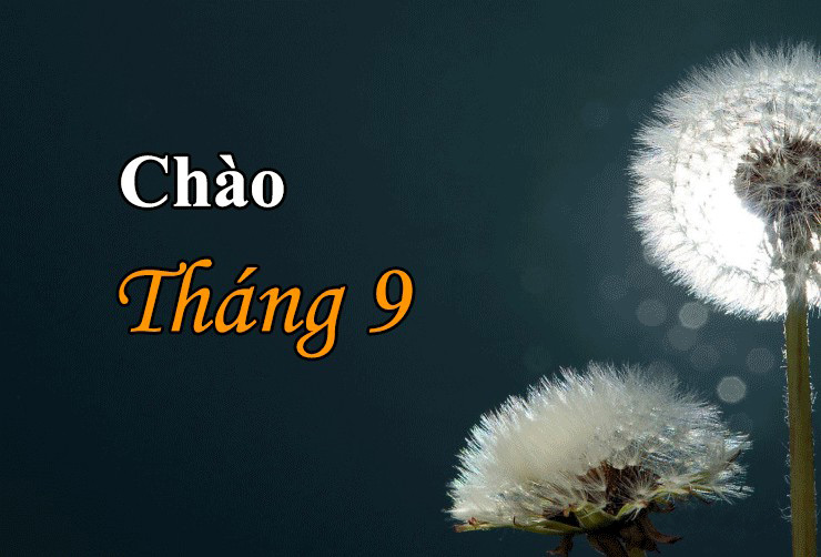 Tổng hợp những stt chào tháng 9 hay, ý nghĩa