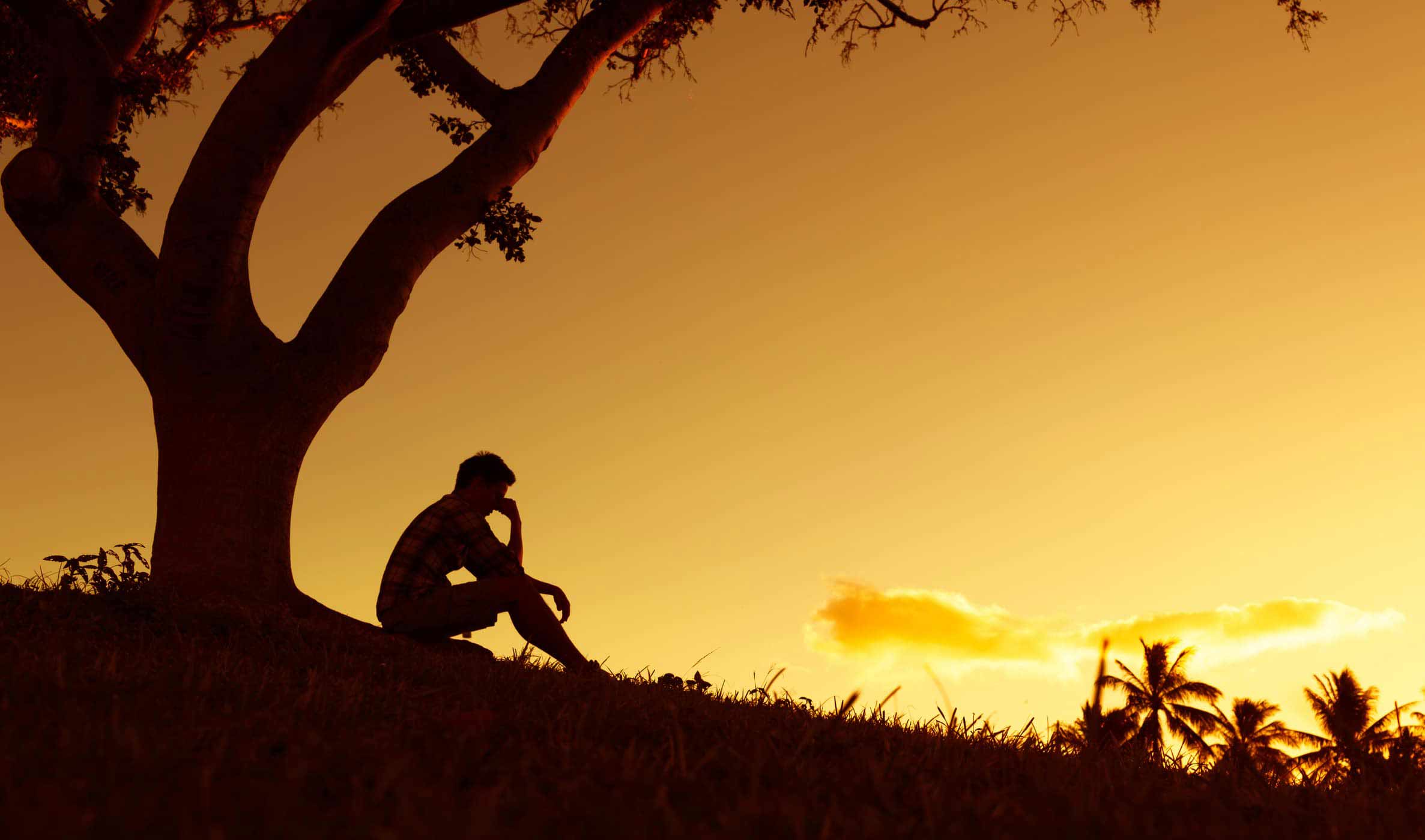 Thơ hay về cuộc sống Thơ hay về cuộc sống