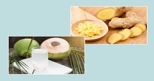 Cách nấu nước dừa gừng đường phèn Cách nấu nước dừa gừng đường phèn