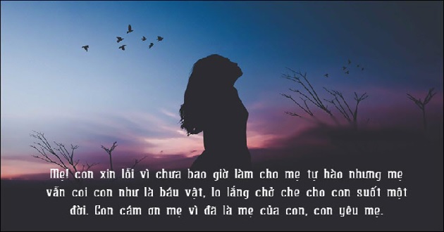 Lời xin lỗi chân thành Lời xin lỗi chân thành