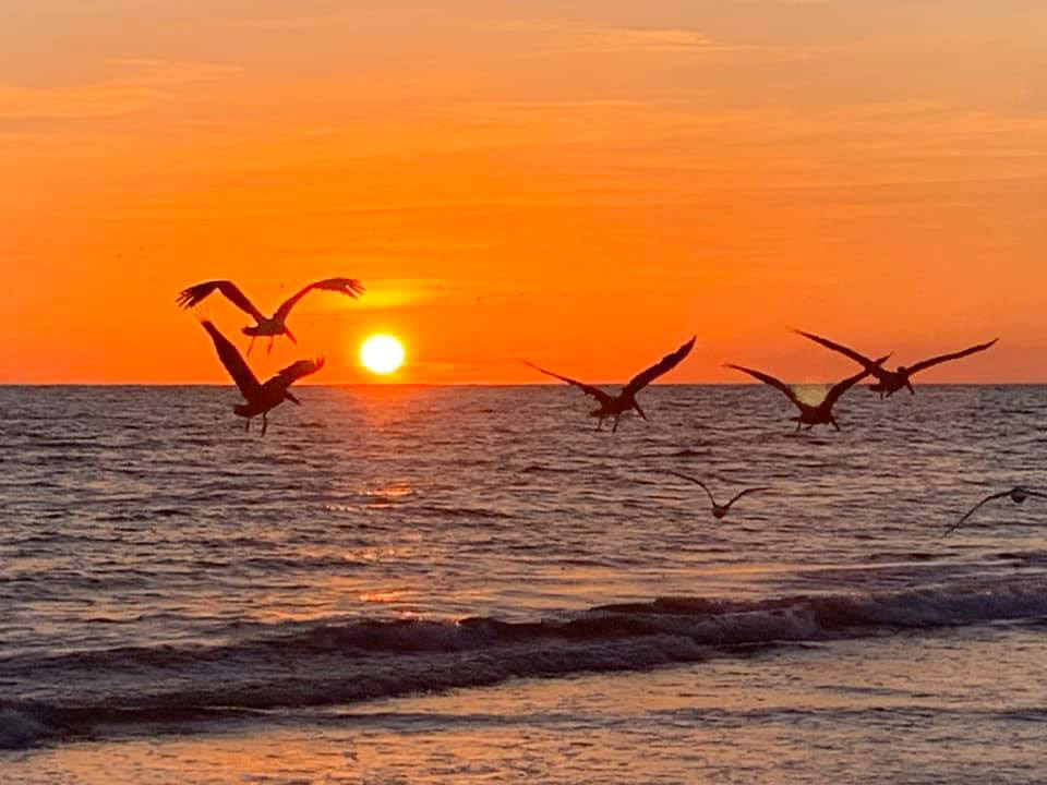 Hình ảnh hoàng hôn trên biển 3 Hình ảnh hoàng hôn trên biển 3