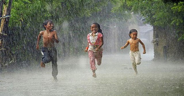 Hình ảnh mưa rào 2