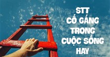 Những câu nói hay về sự cố gắng, stt cố gắng vì tương lai