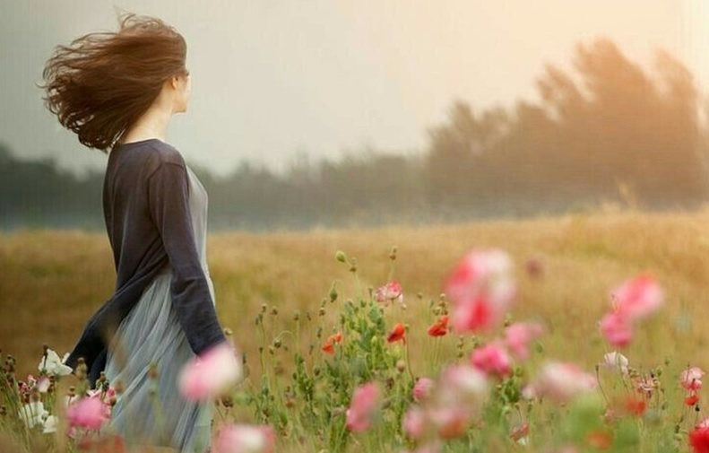 Gió heo may Gió heo may