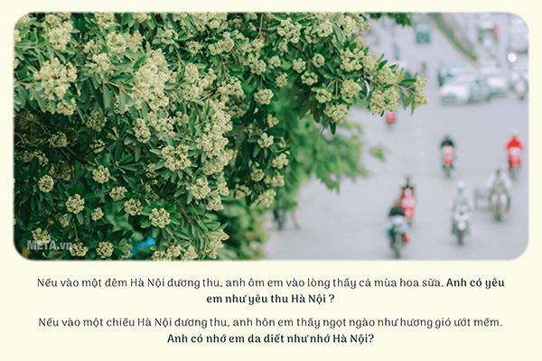 Hình ảnh hoa sữa mùa thu kèm trích dẫn Hình ảnh hoa sữa mùa thu kèm trích dẫn