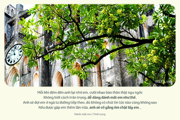 Hình ảnh hoa sữa mùa thu kèm trích dẫn Hình ảnh hoa sữa mùa thu kèm trích dẫn