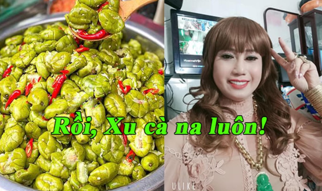 Xu cà na bắt nguồn từ đâu?