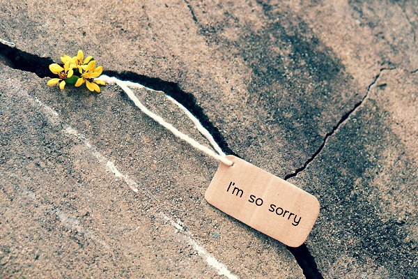 Cách chuộc lỗi với bạn trai Cách chuộc lỗi với bạn trai