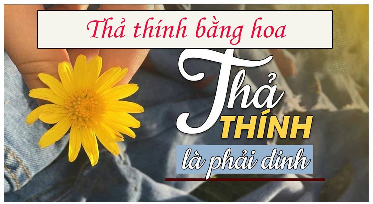 Tổng hợp những stt, bài thơ thả thính về hoa cực chất Tổng hợp những stt, bài thơ thả thính về hoa cực chất