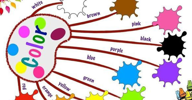 Hướng dẫn cách vẽ sơ đồ tư duy trên máy tính