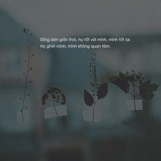 Ảnh quotes chất 2