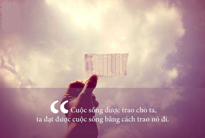 Những câu quotes về cuộc sống và tình yêu