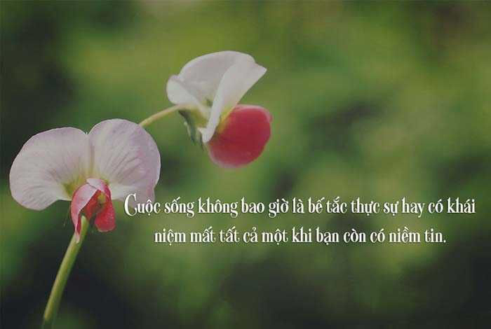 Ảnh quotes về cuộc sống 8 Ảnh quotes về cuộc sống 8